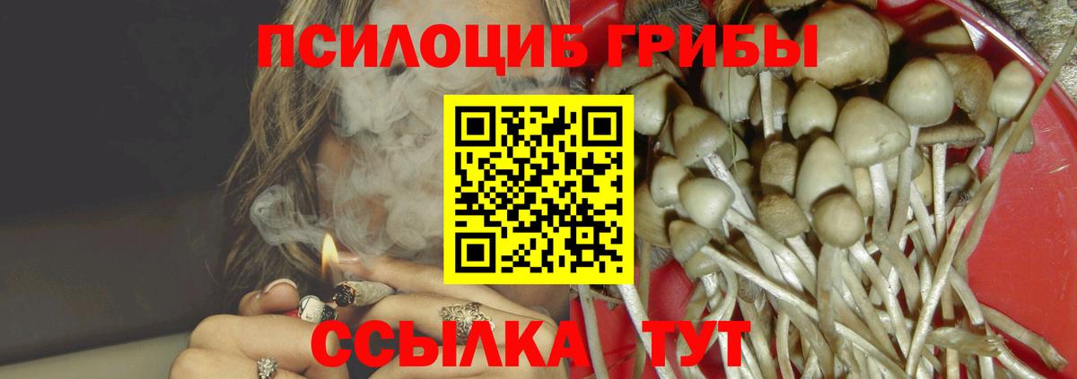 Улан-Удэ  Галлюциногенные грибы прущие грибы  Вход с VPN 